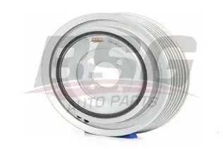 BSG 65170002 Krank Kasnağı