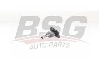 BSG 25310027 Rotil Alt