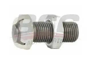 BSG 40700113 Supap Ayar Civatası