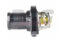 BSG 70125002 Termostat