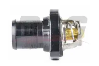 BSG 70125002 Termostat