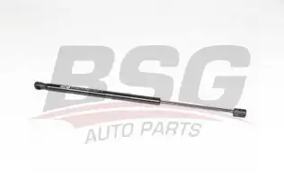 BSG 90980041 Bagaj Amortisörü