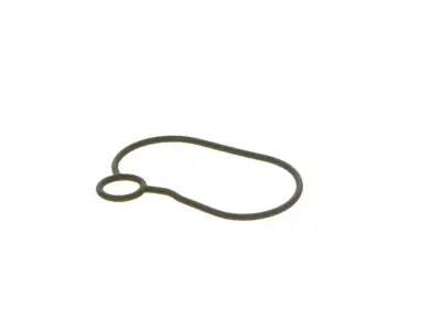 BOSCH 2440210054 O-Ring - 19. Görsel