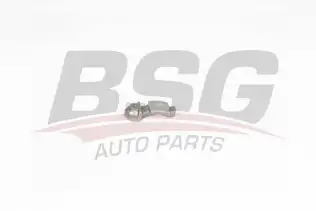 BSG 65122018 Supap Itıcı Tus Tutucusu