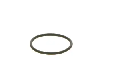 BOSCH F00R0P0166 O-Ring - 26. Görsel