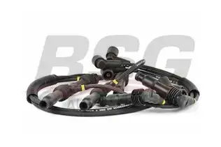 BSG 65839008 Buji Kablosu