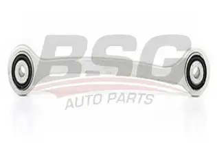 BSG 60310050 Salıncak Arka
