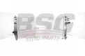 BSG 65520025 Su Radyatörü