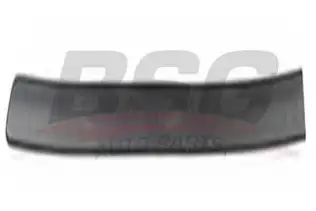 BSG 65925025 Kapı Bandı Arka Sol