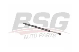 BSG 15980050 Bagaj Amortisörü