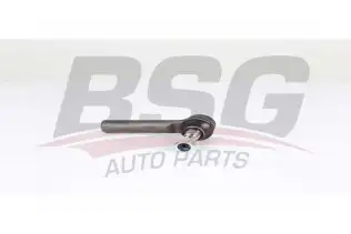 BSG 25310012 Rot Başı Ön