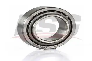 BSG 30605013 Porya Rulmanı Arka