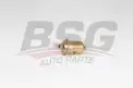 BSG 40130010 Yakıt Filtresi