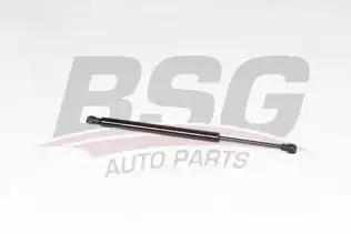 BSG 25980018 Motor Kaput Amortisörü