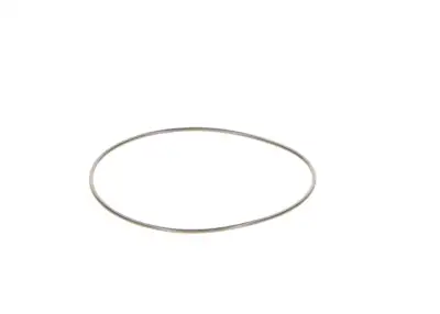 BOSCH 2440210044 O-Ring - 23. Görsel