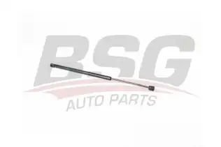 BSG 15980079 Motor Kaput Amortisörü