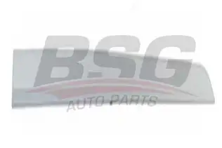 BSG 65924002 Kapı Bandı Ön Sağ