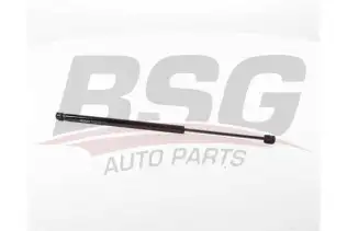 BSG 25980023 Bagaj Amortisörü