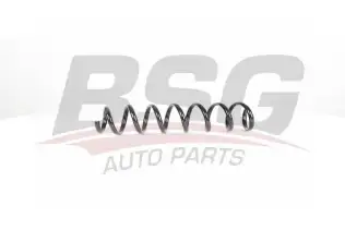 BSG 15305002 Helezon Yayı Arka