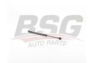 BSG 15980073 Motor Kaput Amortisörü