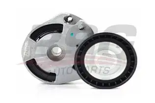 BSG 70615004 V Kayış Gergi Rulmanı