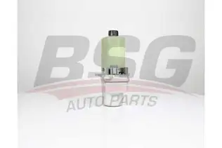 BSG 30355011 Direksiyon Pompası