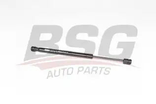 BSG 40980063 Cam Amortisörü Arka