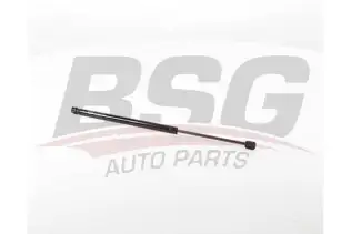 BSG 75980024 Motor Kaput Amortisörü