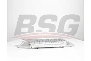 BSG 60525028 Klima Radyatörü