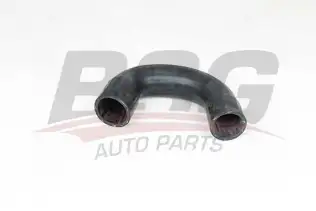 BSG 65700345 Turbo Hortumu