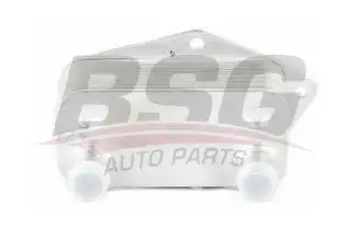 BSG 15506006 Yağ Soğutucusu