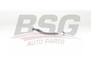 BSG 75310023 Rot Başı Sol