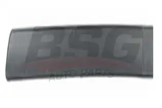 BSG 65925012 Kapı Bandı Arka Sol
