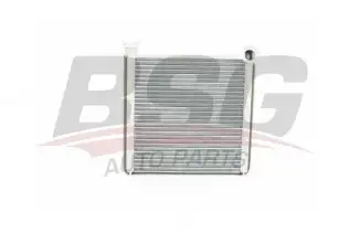 BSG 90530009 Kalorifer Radyatörü
