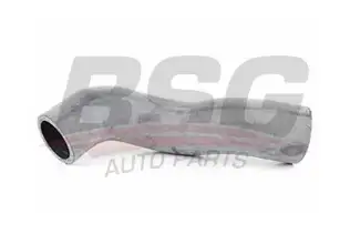 BSG 90720048 Turbo Hortumu