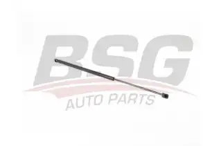 BSG 90980071 Kaput Amortisörü