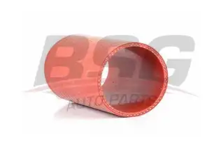 BSG 30720120 Turbo Hortumu