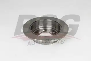 BSG 40210006 Fren Diski Arka