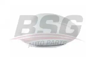 BSG 15915002 Ayna Kapağı Sol