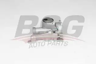 BSG 70101001 Yağ Pompası