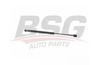 BSG 70980022 Motor Kaput Amortisörü