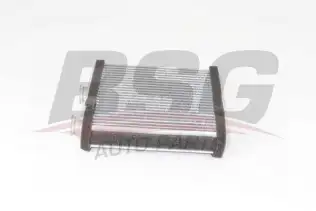 BSG 65530010 Kalorifer Radyatörü
