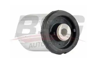 BSG 90700102 Salıncak Burcu Arka