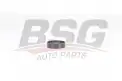 BSG 75615002 V Kayış Gergi Rulmanı
