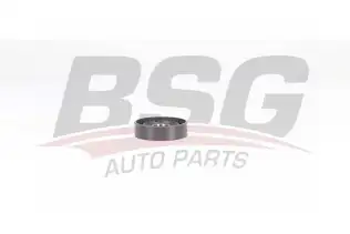 BSG 75615002 V Kayış Gergi Rulmanı