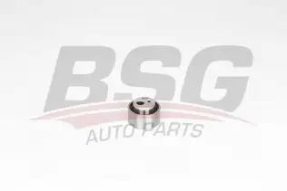 BSG 70615026 Eksantrik Gergi Rulmanı
