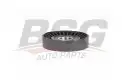BSG 40615009 V Kayış Gergi Rulmanı