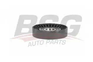 BSG 40615009 V Kayış Gergi Rulmanı