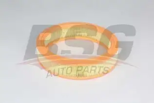 BSG 25135010 Hava Filtresi