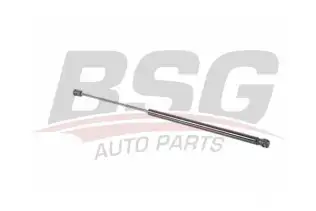 BSG 90980051 Kaput Amortisörü